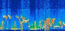 /calipso-imagery/data/BROWSE/production/V5-00/2022-08-21/2022-08-21_03-45-08_V5.00_3_thmb.png image missing