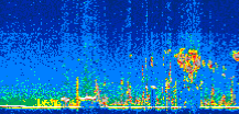 /calipso-imagery/data/BROWSE/production/V5-00/2022-08-21/2022-08-21_05-23-33_V5.00_2_thmb.png image missing