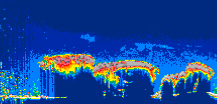 /calipso-imagery/data/BROWSE/production/V5-00/2022-08-21/2022-08-21_06-16-18_V5.00_3_thmb.png image missing
