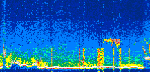 /calipso-imagery/data/BROWSE/production/V5-00/2022-08-21/2022-08-21_10-19-04_V5.00_3_thmb.png image missing