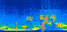 /calipso-imagery/data/BROWSE/production/V5-00/2022-08-21/2022-08-21_11-57-29_V5.00_2_thmb.png image missing