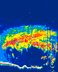 /calipso-imagery/data/BROWSE/production/V5-00/2022-08-21/2022-08-21_21-02-40_V5.00_4_thmb.png image missing
