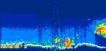 /calipso-imagery/data/BROWSE/production/V5-00/2022-08-22/2022-08-22_00-19-36_V5.00_3_thmb.png image missing