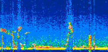 /calipso-imagery/data/BROWSE/production/V5-00/2022-08-22/2022-08-22_01-05-21_V5.00_2_thmb.png image missing