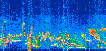 /calipso-imagery/data/BROWSE/production/V5-00/2022-08-22/2022-08-22_07-39-11_V5.00_3_thmb.png image missing