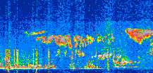 /calipso-imagery/data/BROWSE/production/V5-00/2022-08-22/2022-08-22_09-17-42_V5.00_2_thmb.png image missing