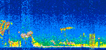 /calipso-imagery/data/BROWSE/production/V5-00/2022-08-22/2022-08-22_09-17-42_V5.00_3_thmb.png image missing