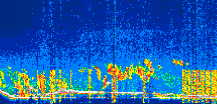 /calipso-imagery/data/BROWSE/production/V5-00/2022-08-22/2022-08-22_14-13-07_V5.00_1_thmb.png image missing