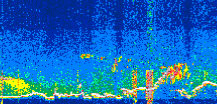 /calipso-imagery/data/BROWSE/production/V5-00/2022-08-22/2022-08-22_14-13-07_V5.00_3_thmb.png image missing