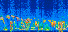 /calipso-imagery/data/BROWSE/production/V5-00/2022-08-22/2022-08-22_19-08-33_V5.00_3_thmb.png image missing