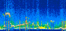 /calipso-imagery/data/BROWSE/production/V5-00/2022-08-22/2022-08-22_20-47-03_V5.00_3_thmb.png image missing