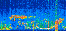 /calipso-imagery/data/BROWSE/production/V5-00/2022-08-25/2022-08-25_01-18-20_V5.00_3_thmb.png image missing