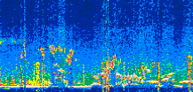 /calipso-imagery/data/BROWSE/production/V5-00/2022-08-25/2022-08-25_04-35-15_V5.00_3_thmb.png image missing