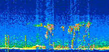 /calipso-imagery/data/BROWSE/production/V5-00/2022-08-25/2022-08-25_06-13-45_V5.00_2_thmb.png image missing