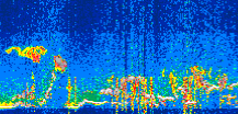 /calipso-imagery/data/BROWSE/production/V5-00/2022-08-25/2022-08-25_06-13-45_V5.00_3_thmb.png image missing