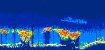 /calipso-imagery/data/BROWSE/production/V5-00/2022-08-30/2022-08-30_20-03-10_V5.00_3_thmb.png image missing