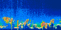 /calipso-imagery/data/BROWSE/production/V5-00/2022-10-06/2022-10-06_01-00-40_V5.00_4_thmb.png image missing