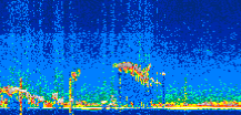 /calipso-imagery/data/BROWSE/production/V5-00/2022-10-06/2022-10-06_02-39-05_V5.00_2_thmb.png image missing