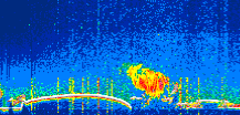 /calipso-imagery/data/BROWSE/production/V5-00/2022-10-06/2022-10-06_10-51-26_V5.00_1_thmb.png image missing