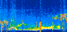 /calipso-imagery/data/BROWSE/production/V5-00/2022-10-06/2022-10-06_12-29-56_V5.00_2_thmb.png image missing