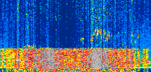 /calipso-imagery/data/BROWSE/production/V5-00/2022-10-06/2022-10-06_19-03-47_V5.00_2_thmb.png image missing