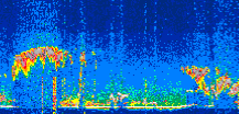 /calipso-imagery/data/BROWSE/production/V5-00/2022-10-06/2022-10-06_19-03-47_V5.00_3_thmb.png image missing