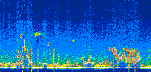 /calipso-imagery/data/BROWSE/production/V5-00/2022-10-06/2022-10-06_23-59-13_V5.00_3_thmb.png image missing
