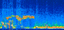 /calipso-imagery/data/BROWSE/production/V5-00/2022-10-07/2022-10-07_01-37-38_V5.00_2_thmb.png image missing