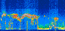/calipso-imagery/data/BROWSE/production/V5-00/2022-10-07/2022-10-07_03-16-08_V5.00_3_thmb.png image missing