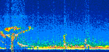 /calipso-imagery/data/BROWSE/production/V5-00/2022-10-08/2022-10-08_00-36-11_V5.00_2_thmb.png image missing