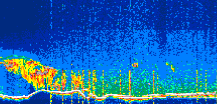 /calipso-imagery/data/BROWSE/production/V5-00/2022-10-08/2022-10-08_02-14-41_V5.00_1_thmb.png image missing