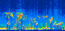 /calipso-imagery/data/BROWSE/production/V5-00/2022-10-08/2022-10-08_03-53-06_V5.00_3_thmb.png image missing