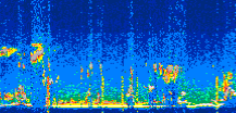 /calipso-imagery/data/BROWSE/production/V5-00/2022-10-08/2022-10-08_18-39-18_V5.00_3_thmb.png image missing