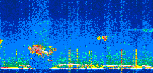 /calipso-imagery/data/BROWSE/production/V5-00/2022-10-08/2022-10-08_21-56-18_V5.00_2_thmb.png image missing