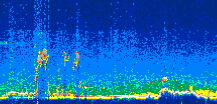 /calipso-imagery/data/BROWSE/production/V5-00/2022-10-08/2022-10-08_21-56-18_V5.00_3_thmb.png image missing